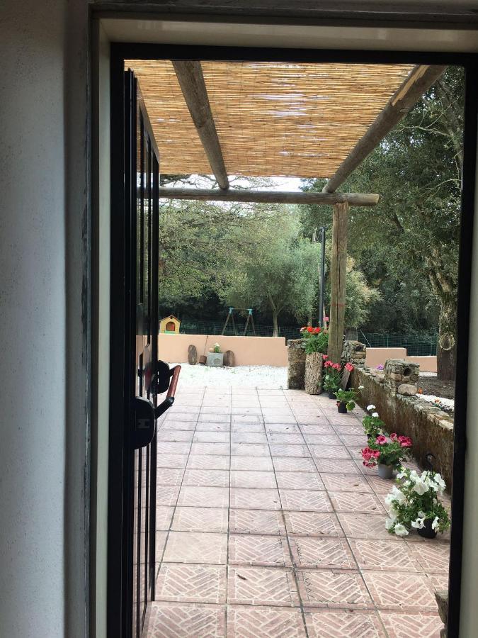 AZIENDA AGRITURISTICA S'ARGALASI - B&B - AFFITTACAMERE Loc S'Argalasi Austis Bagian luar foto