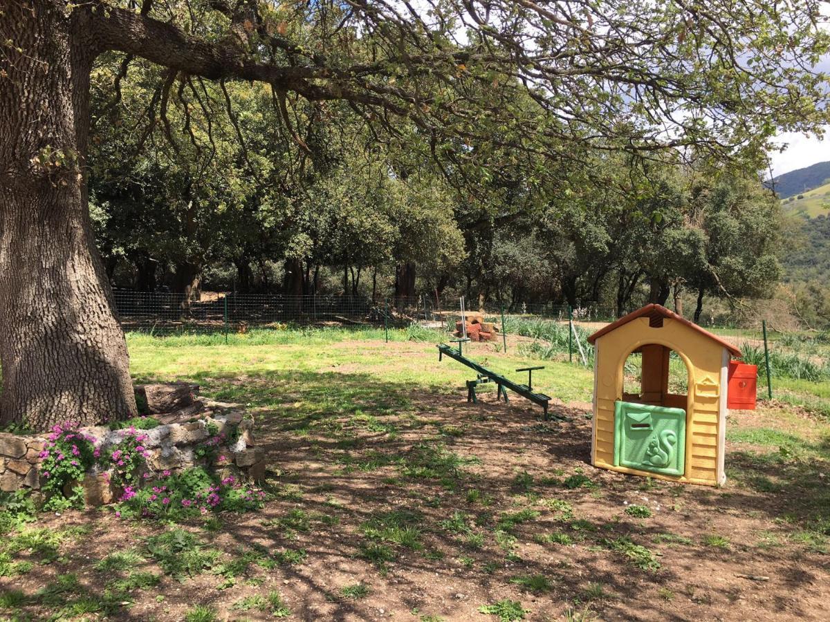 AZIENDA AGRITURISTICA S'ARGALASI - B&B - AFFITTACAMERE Loc S'Argalasi Austis Bagian luar foto