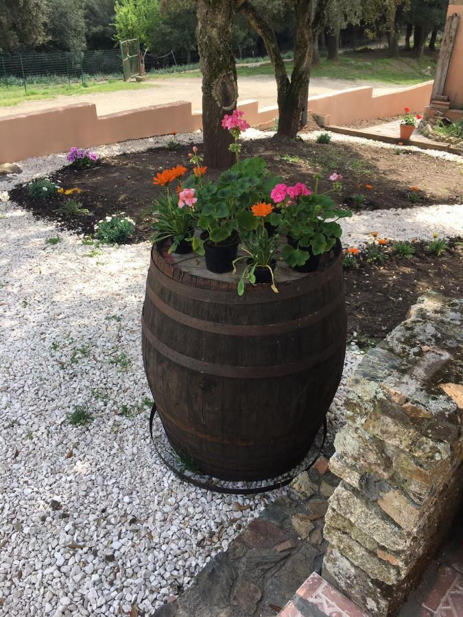 AZIENDA AGRITURISTICA S'ARGALASI - B&B - AFFITTACAMERE Loc S'Argalasi Austis Bagian luar foto