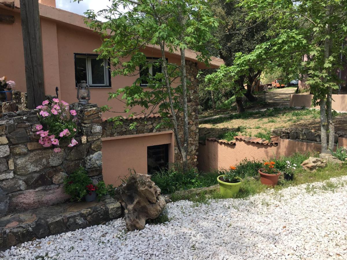 AZIENDA AGRITURISTICA S'ARGALASI - B&B - AFFITTACAMERE Loc S'Argalasi Austis Bagian luar foto