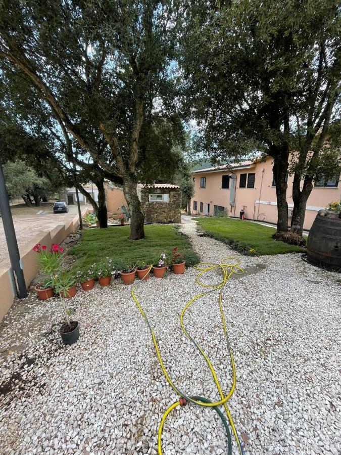 AZIENDA AGRITURISTICA S'ARGALASI - B&B - AFFITTACAMERE Loc S'Argalasi Austis Bagian luar foto